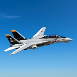 Freewing F-14 Tomcat Twin 64mm Jet EDF PNP  (stabilizer included)