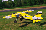 Legacy Aviation 84" Turbo Bushmaster - Yellow/ black scheme - ARF